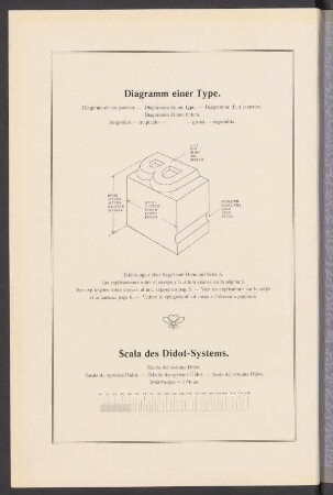 Diagramm einer Type