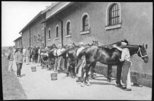 Oschatz..K.S. 1.Ulanen-Regt. No. 17 - Beim Pferdeputzen