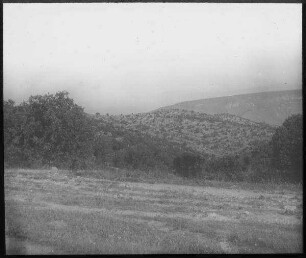 Östl. mukes, Parkwald wadi el-hamme