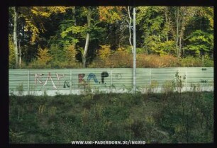 RAP