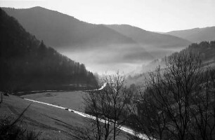 Blick von Aftersteg auf Todtnau im Dunst
