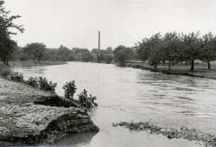 Elster bei Großzschocher am 13. Juli, 1 Tag nach Höchststand, Hochwasser Juli 1954