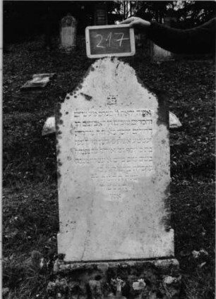 Grabstein 217 (Index: 100090559) Material: weißer Marmor, Sockel:Granit Zustand: gut Maße HxBxT: 120x60x17 cm Beschreibung: Stele, getreppter Sockel, Konvexbogenabschluß: Grabstein 217
