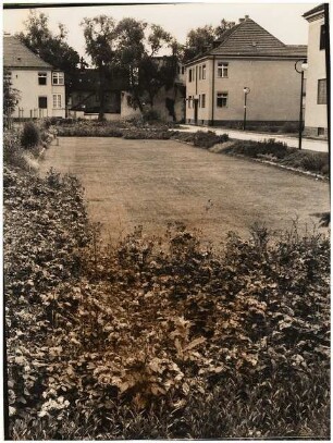Gartenanlage Beamtenwohnungsverein: Pflanzungen mit Rasen