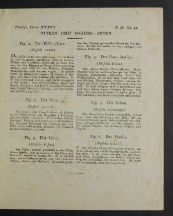 Vierfüss. Thiere. XXXVI. Ottern und Marder-Arten.