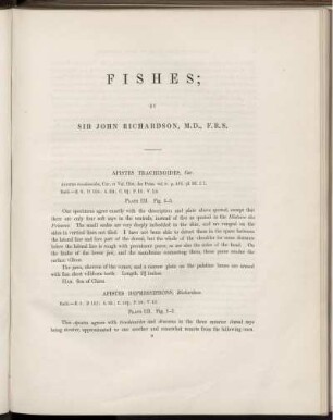 Fishes.