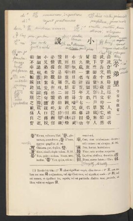 小説 Parvae narrationes