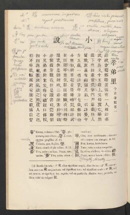 小説 Parvae narrationes