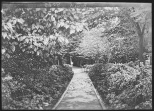 Portland, Oregon. The Flower Walk, City Park