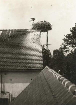 Gute u. schlechte Beleuchtung