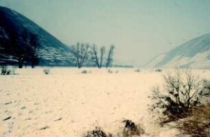 Eiswinter 1956, Mosel