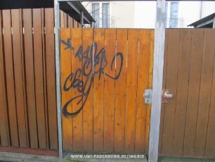 RASER SoeY