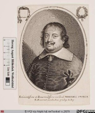 Bildnis Federico Sforza