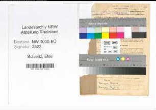 Entnazifizierung Else Schmitz, geb. 19.07.1898 (Lehrerin)