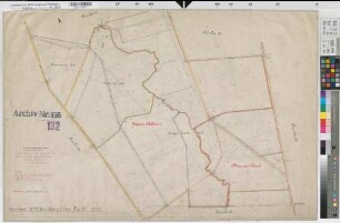 Rheine l.d.Ems (Rheine), Umlegung Hauenhorst, Urkarte II Flur 32