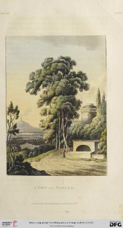 Plate XV. A view near Naples