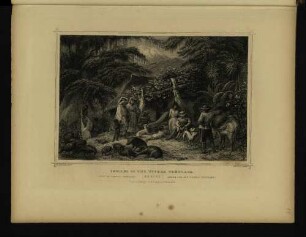 Indians of the Tierra Teplada.