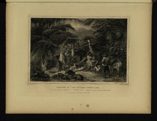 Indians of the Tierra Teplada.