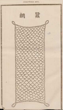 Silk-worm net