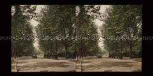 Straße mit Autos im Bois de Boulogne