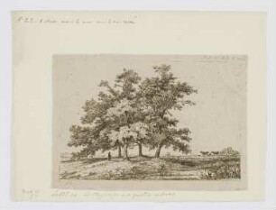 Landschaft mit vier Bäumen