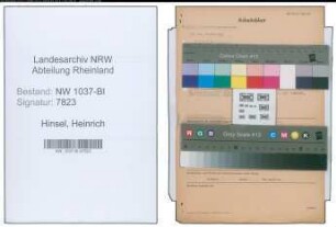 Entnazifizierung Heinrich Hinsel , geb. 10.09.1891 (Angestellter)