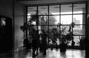 Bukarest: Institut für Fürsorgeschwestern, Blumenfenster am Eingang