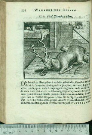 102. Van't Droncken Hert.