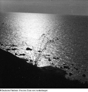 Ostsee; Nonnewitz, Steilküste Bakenberg