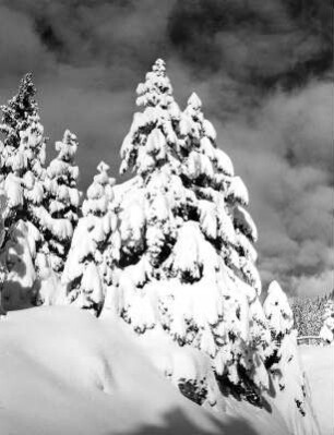 Winterlandschaft