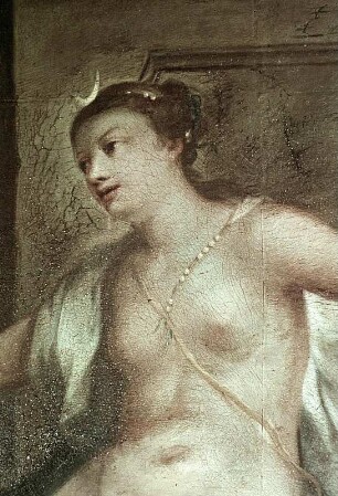Diana entdeckt die Schwangerschaft Callistos