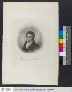 Ludwig van Beethoven / painted by Louis Letronne ; engraved by T. Blood