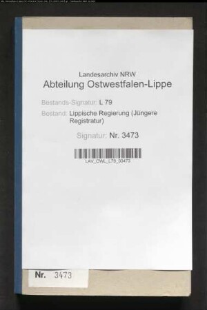 Kommunalwegebau Voranschläge und Rechnung des Amtes Detmold, Band 2