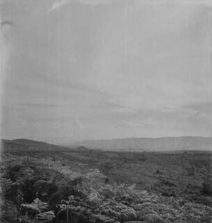 Panoramaaufnahme : Panorama der Virunga Vulkankette am Ostafrikanischen Grabenbruch in Richtung Nordwesten