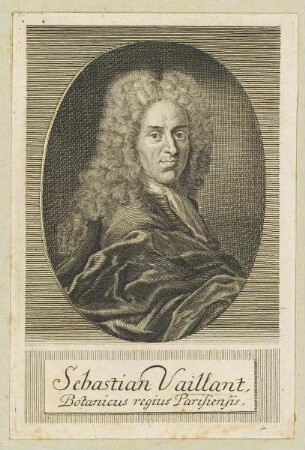 Bildnis des Sebastian Vaillant