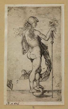 Fortuna (Das kleine Glück)