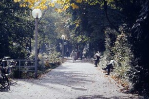 Allee, Detmold; farbig