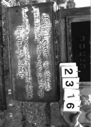 Grabstein 2316 (Index: 100097466) Maße HxBxT: 195x62x26 cm Symbolik: Blumen: Grabstein 2316 (Detailaufnahme)