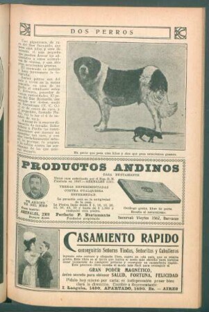 Dos perros