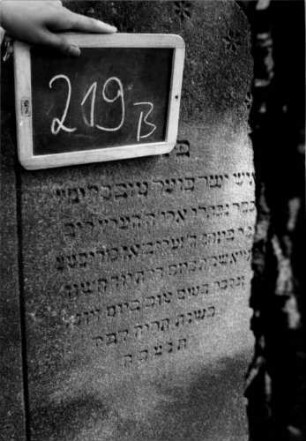 Grabstein 219 (Index: 100112171) Material: Sandstein Zustand: leicht verwittert Maße HxBxT: 136x63x13 cm Beschreibung: Stele, Sockel, schräg eingezogener Rundbogenabschluß Symbolik: Blüten: Grabstein 219B