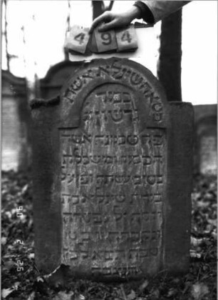 Grabstein 494 (Index: 100115493) Material: Sandstein Zustand: verwittert Maße HxBxT: 90x61x14 cm Beschreibung: Stele mit eingezogenem Rundbogenabschluß, eingetieftes Schriftfeld: Grabstein 494