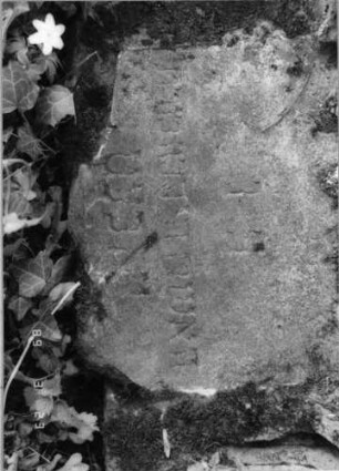 Grabstein 150 (Index: 99792260) Material: Sandstein, weiße Marmorplatte Zustand: verwittert, untere Stelenhälfte fehlt, Abschluß beschädigt, Stele liegend Maße HxBxT: 84x66x32 cm Beschreibung: ädikualartige Stele mit Halbsäulen, eingezogener Rundbogenabschluß mit Verdachung, rechteckige Schriftplatte Symbolik: gestelztes Rundbogenfries: Grabstein 150 (Detailaufnahme)