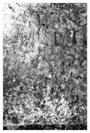 El Manantial, Stela 1 (MAN: St. 1)