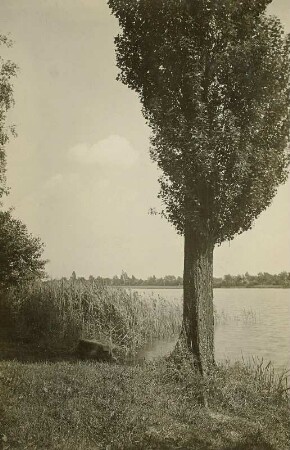 Königswartha. Großer Griesteich