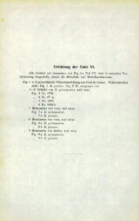 Erklärung der Tafel VI