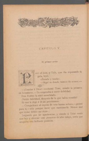 Capítulo V - El primer aviso