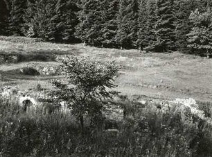 Westerzgebirge. Grumbachtal mit Grundmauer der Grube "Römisch Reich" östlich von Grumbach