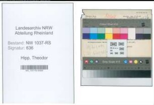 Entnazifizierung Theodor Hipp , geb. 19.05.1903 (Vollzugsbeamter)
