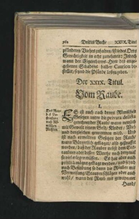 Der XXIX. Titul. Vom Raube.