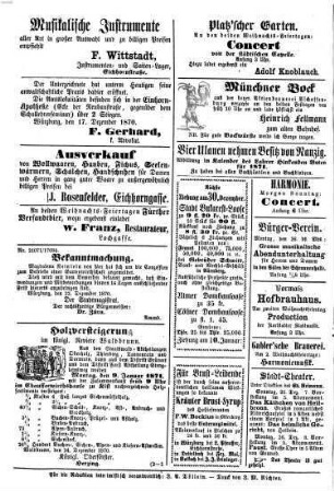 Würzburger Journal. 1870 = Jg. 16